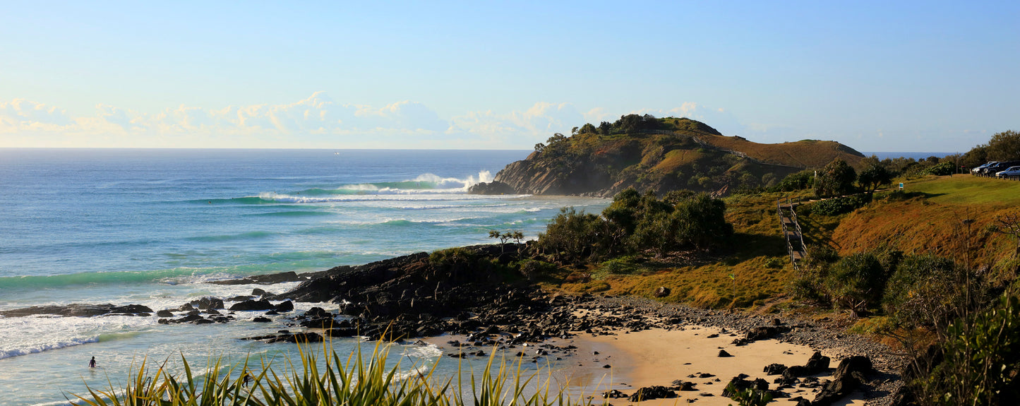 Image 18 - Cabarita Whale Breach