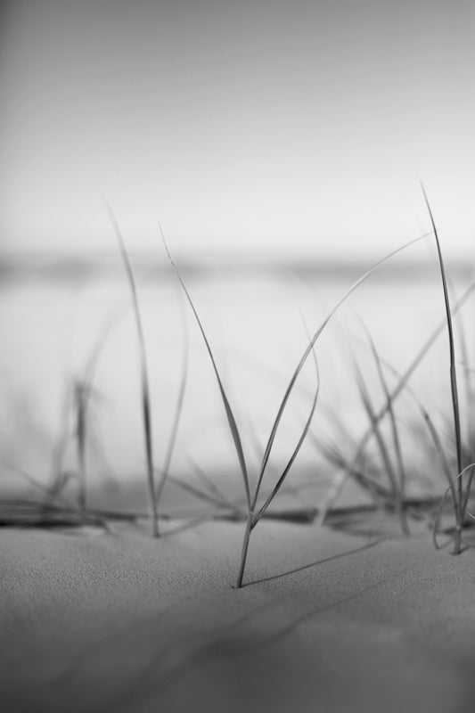 Image 23 - Mirage