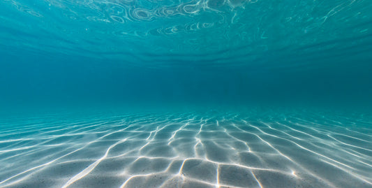 Image 6 - Under Water World