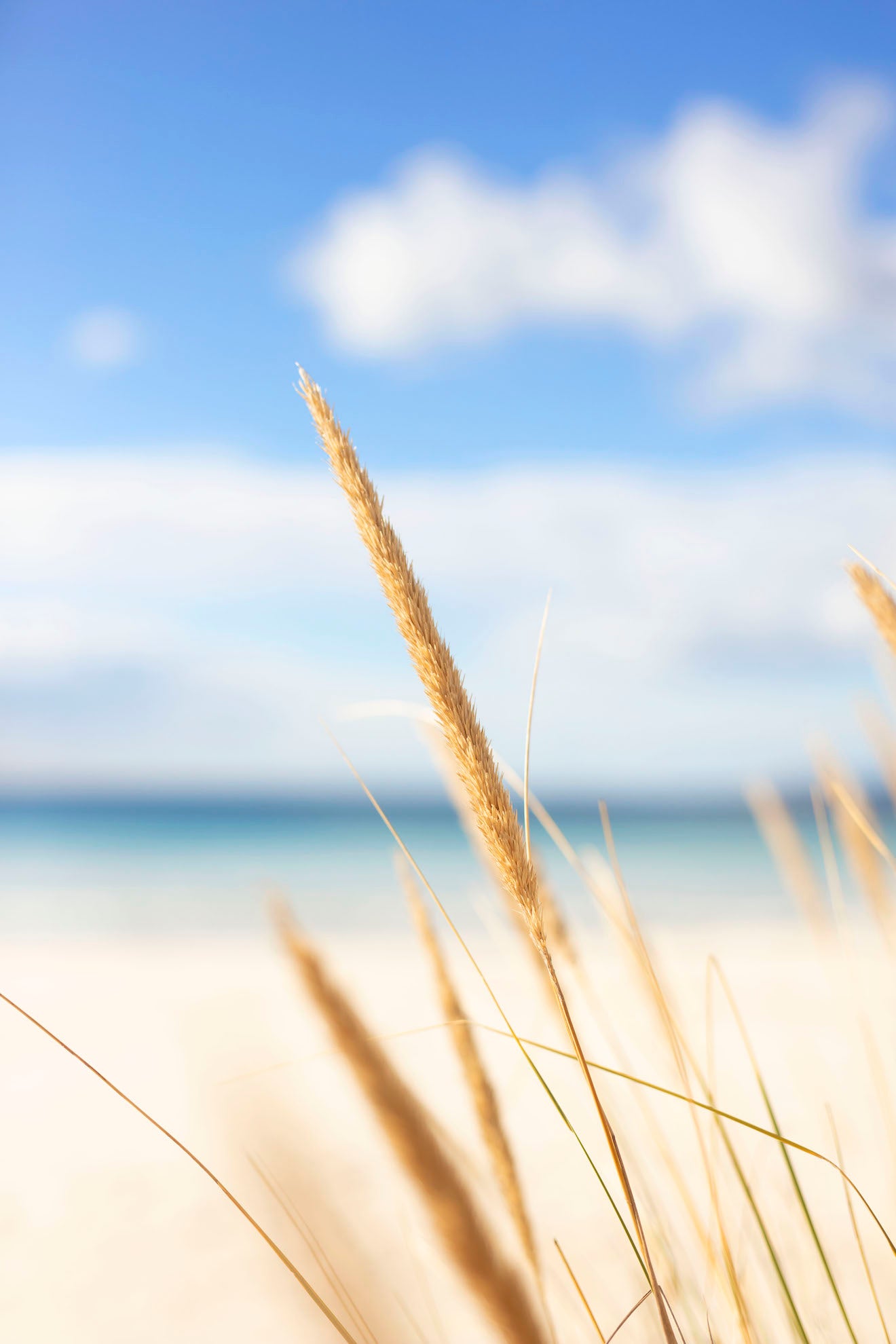 Collections Coastal Visions Photography