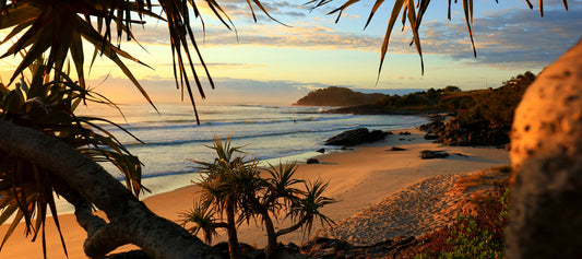 Image 13 - Cabarita Morning Gold