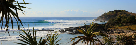 Image 17 - Cabarita - Whale of a time