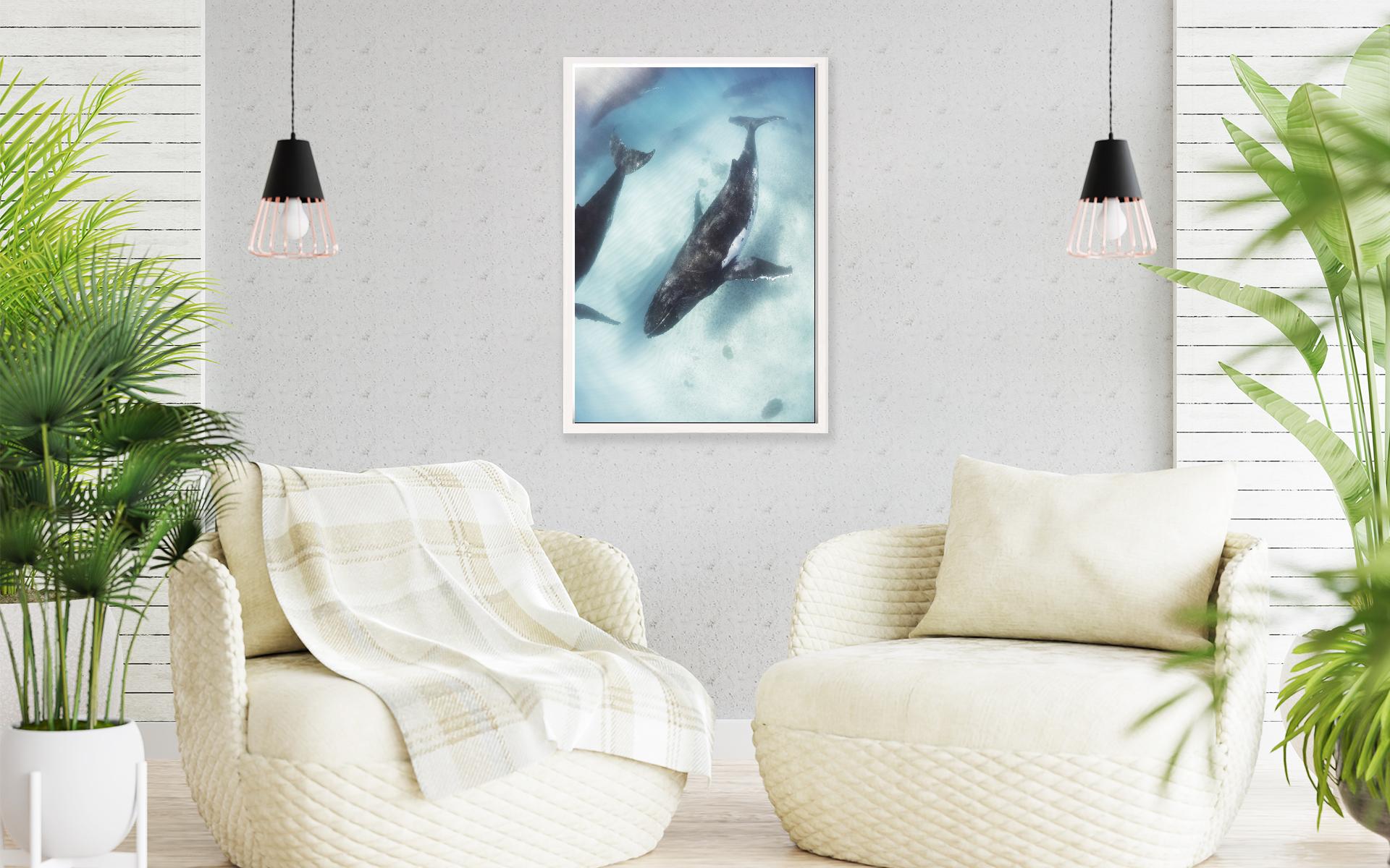 Image 17 - Pastel Whales-frame-1