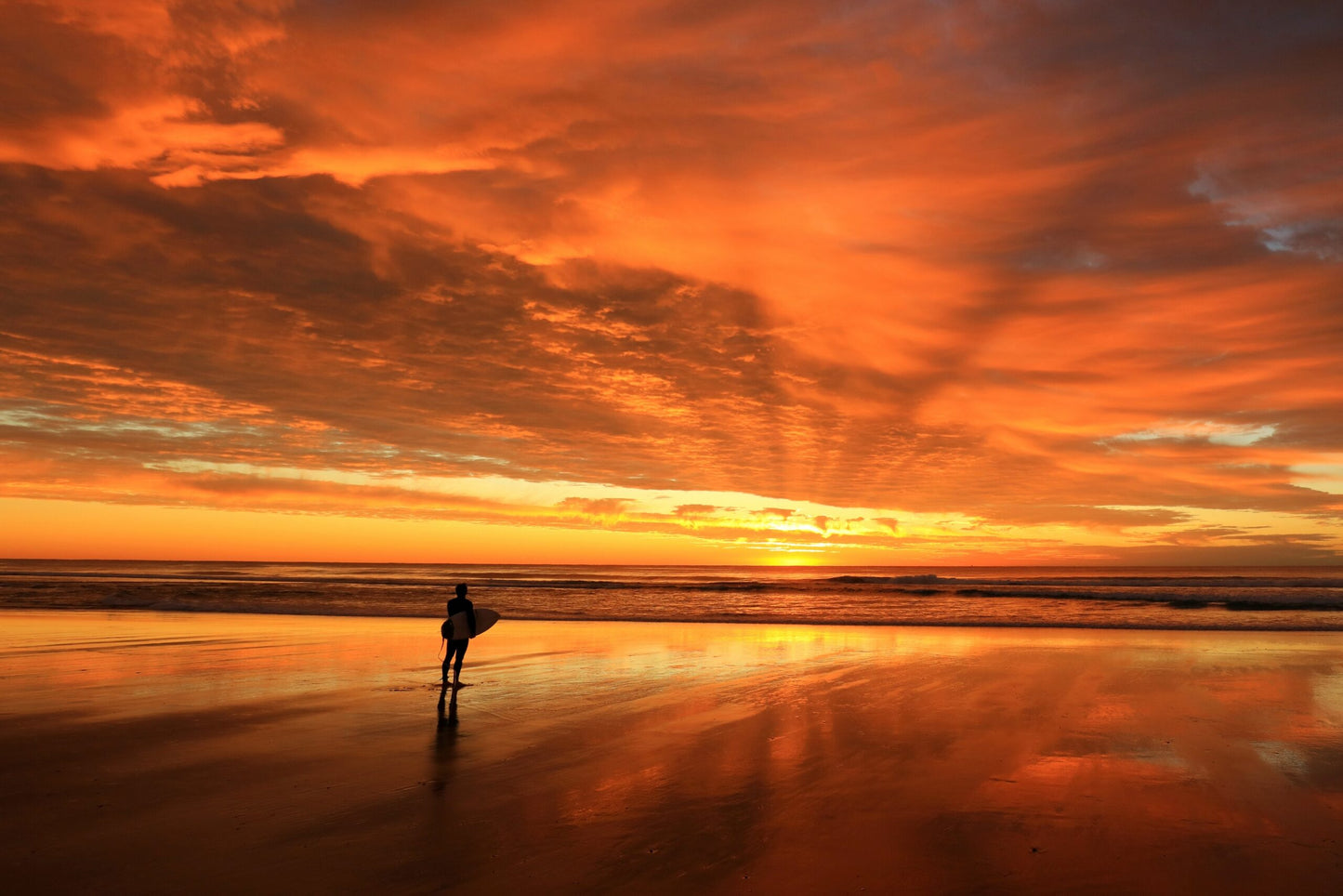 Image 18 - Mesmerised Surfer