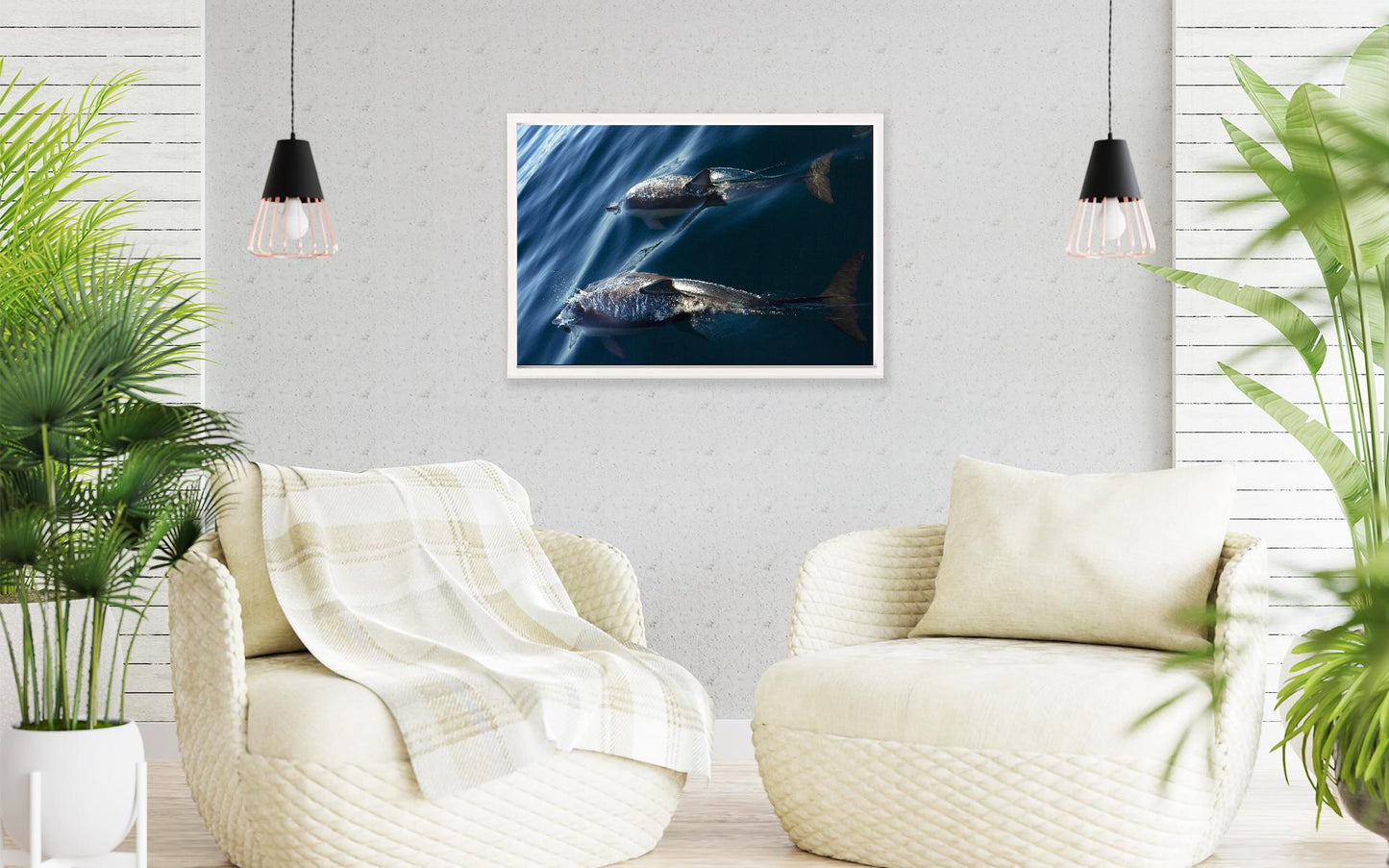 Image 19 - Dolphin Cruise-frame-1