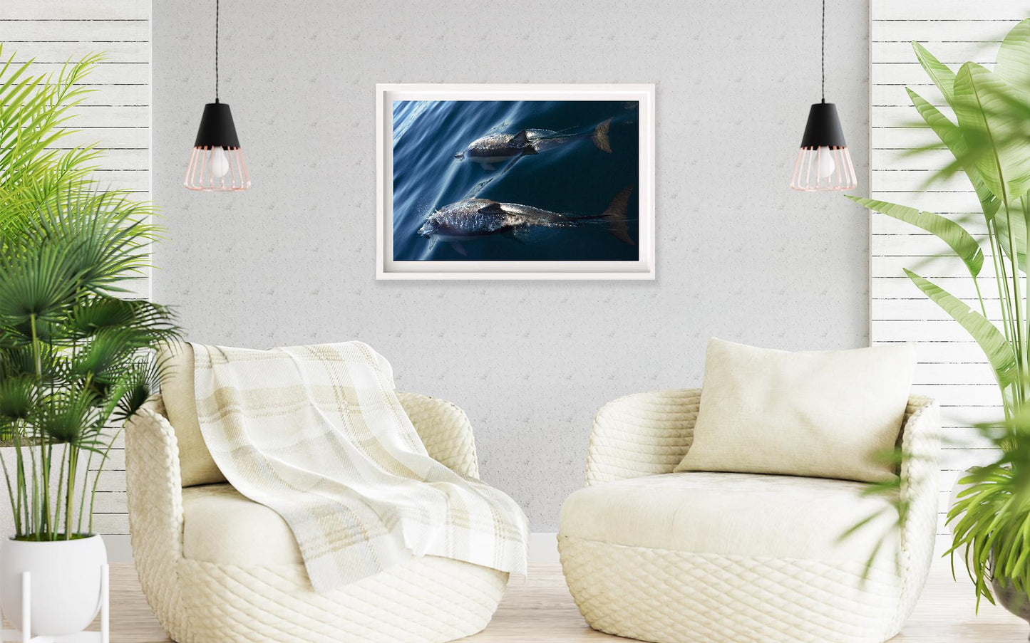 Image 19 - Dolphin Cruise-frame-2