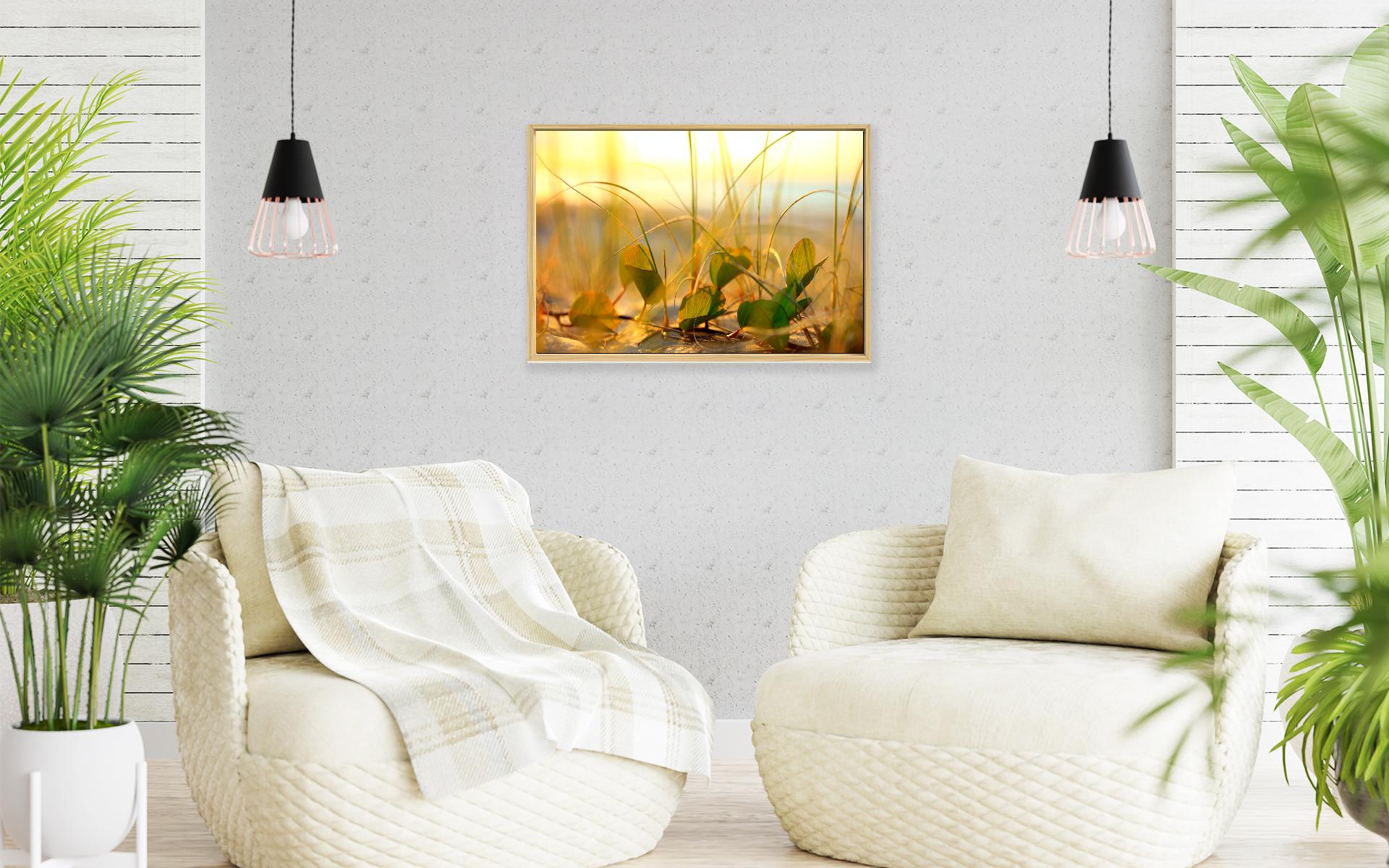 Image 19 - Seagrass-frame-4