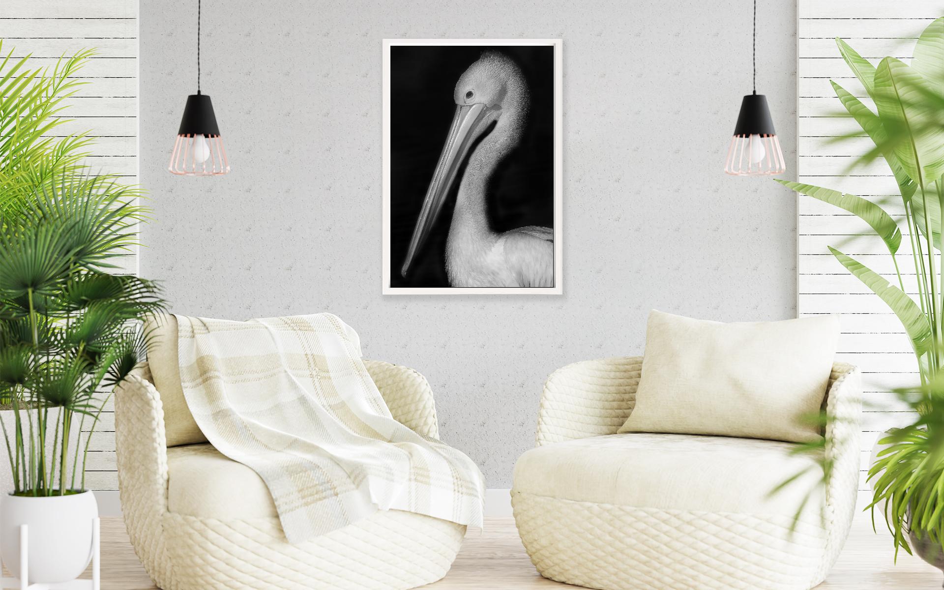 Image 20 - Pelican Portrait-frame-1