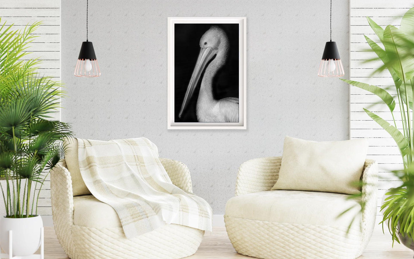 Image 20 - Pelican Portrait-frame-2