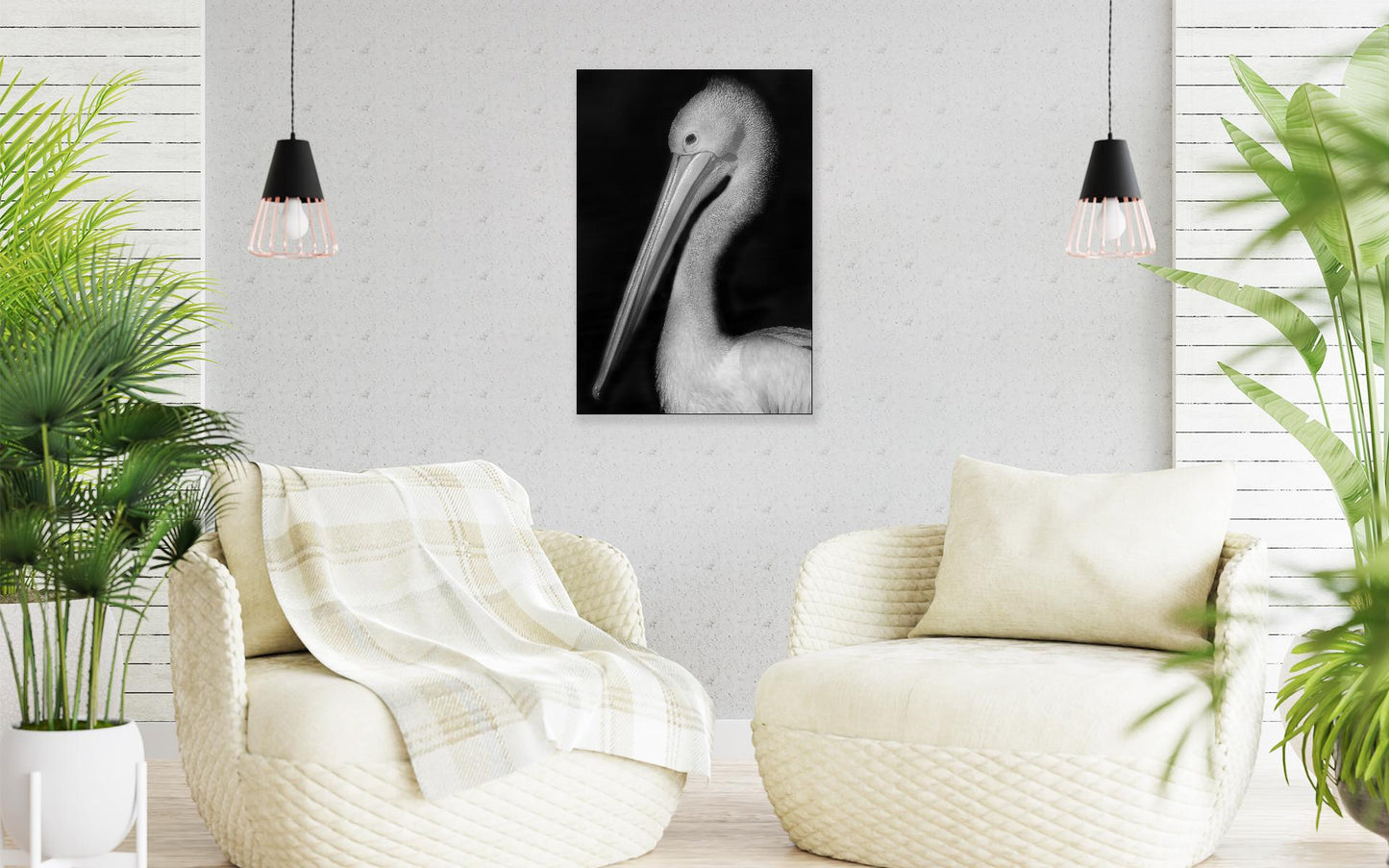 Image 20 - Pelican Portrait-frame-5