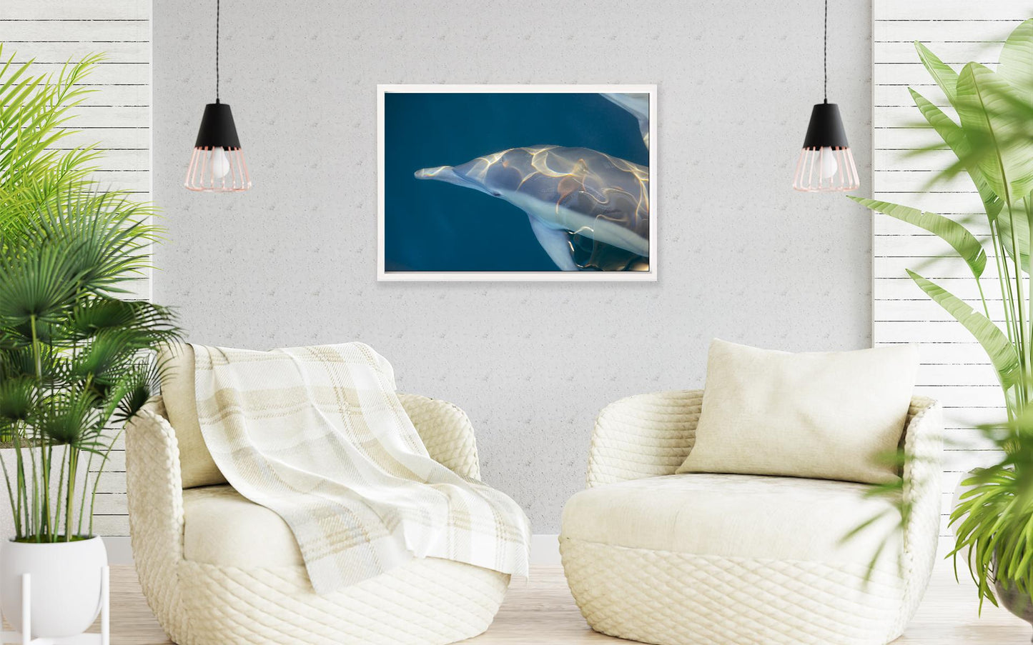 Image 3 - Rainbow Dolphin-frame-1