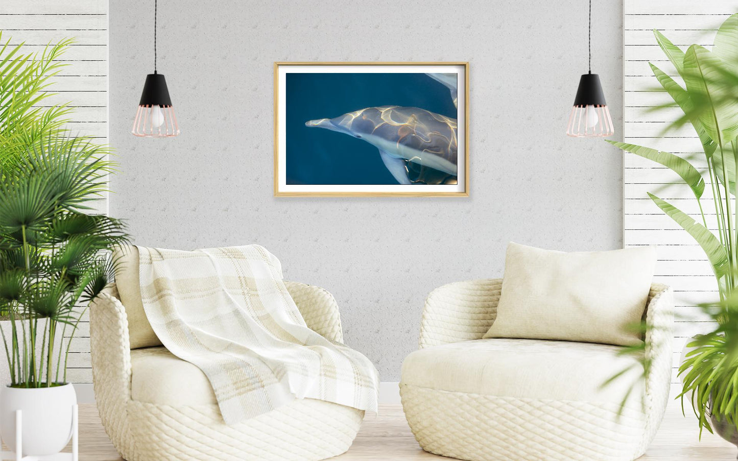 Image 3 - Rainbow Dolphin-frame-3