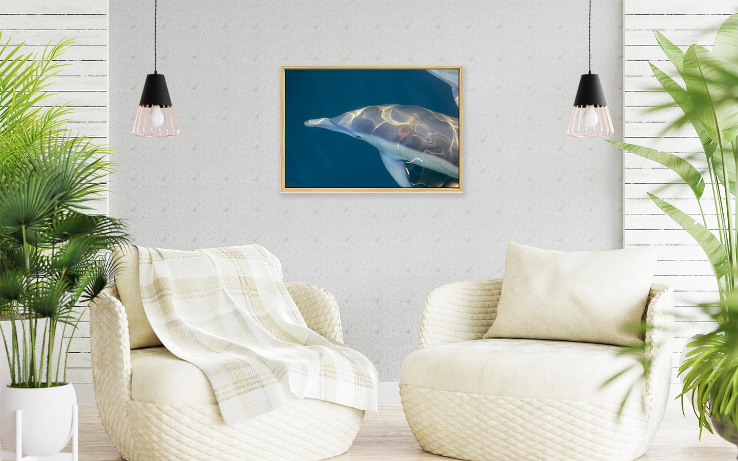 Image 3 - Rainbow Dolphin-frame-4