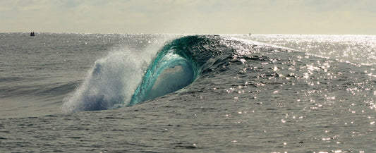 Image 34 - Outer Reef