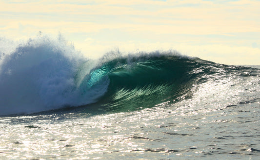 WAVES 43 - Pipe in our Backyard